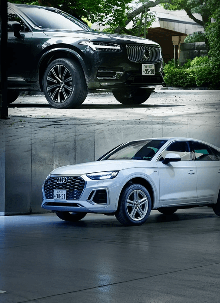 2つのアレンザ ストーリー