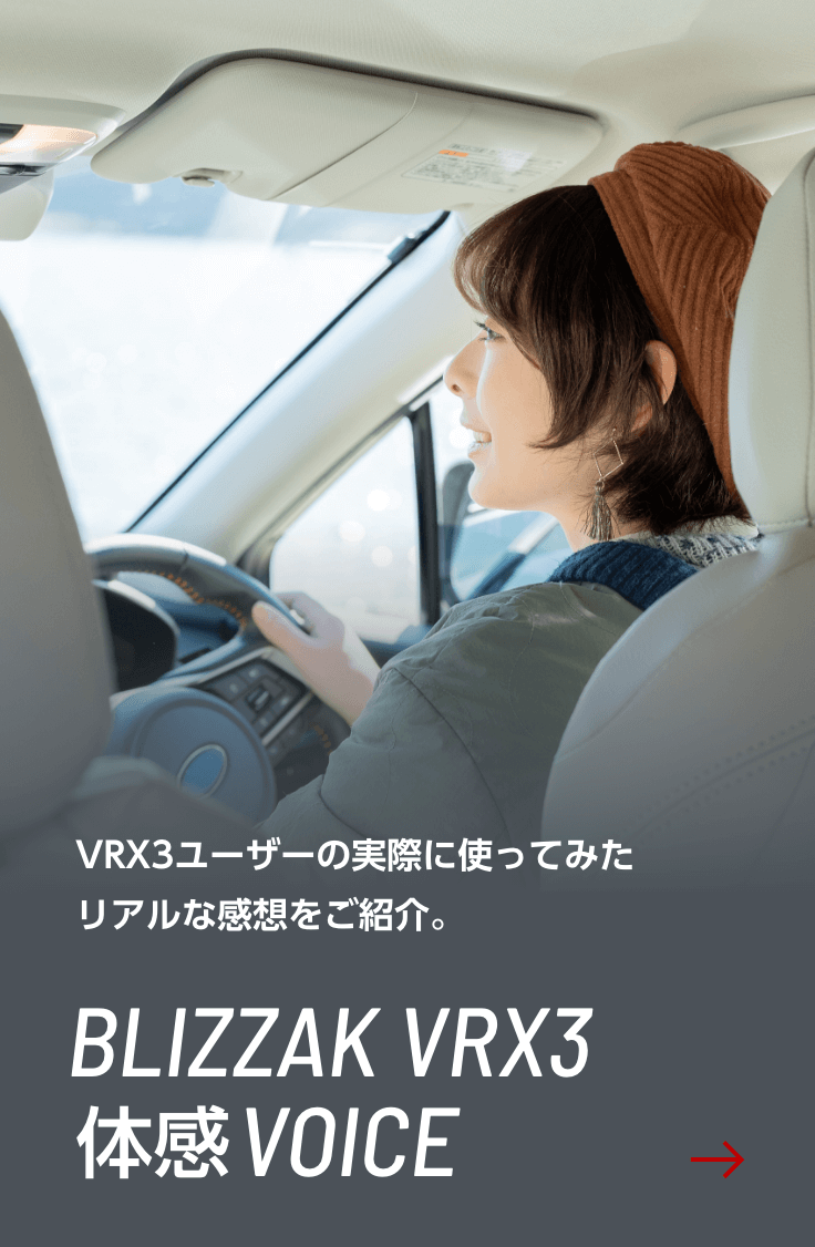 BLIZZAK VRX3 体感VOICE