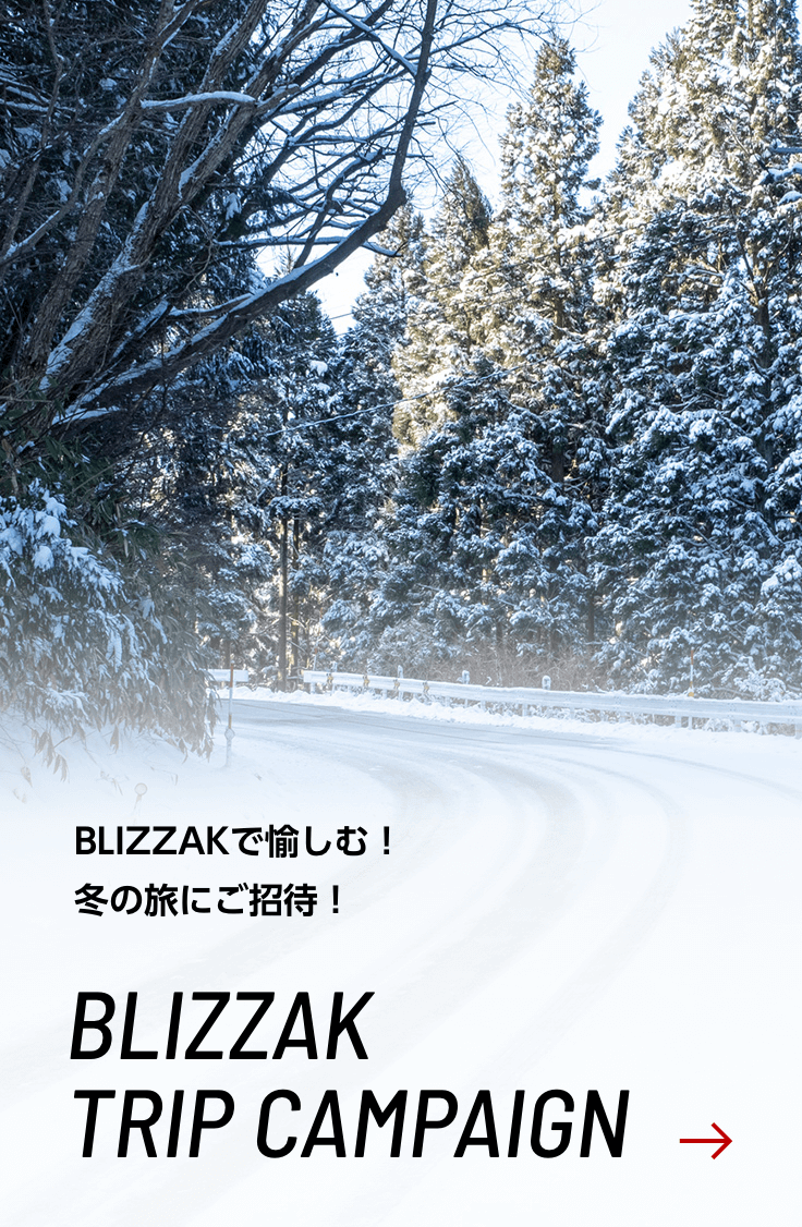 BLIZZAK TRIP CAMPAIGN