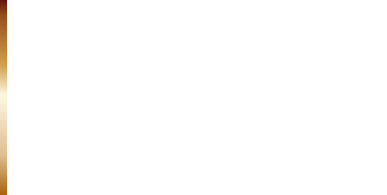 SUV/4×4用 BLIZZAK DM-V3