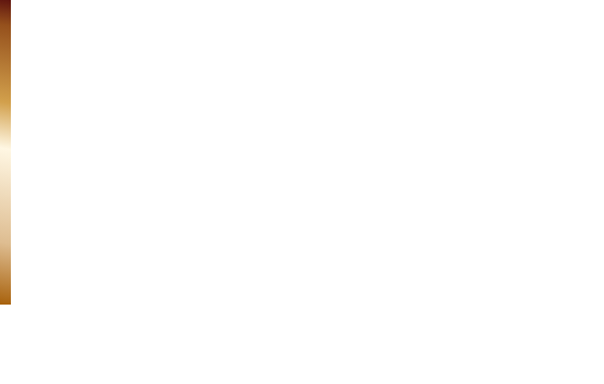 SUV/4×4用 BLIZZAK IcePeak