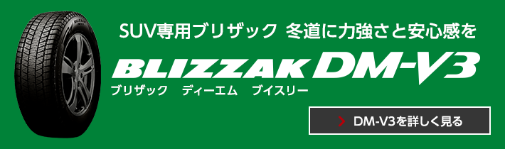 BLIZZAK for SUV - BLIZZAK（ブリザック）- 株式会社ブリヂストン