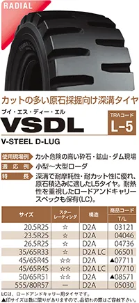 VSDL