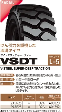 VSDT