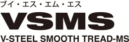 VSMS