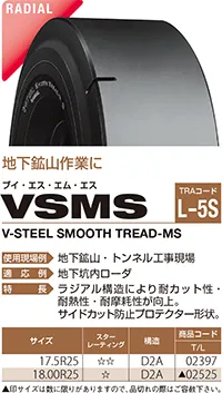 VSMS